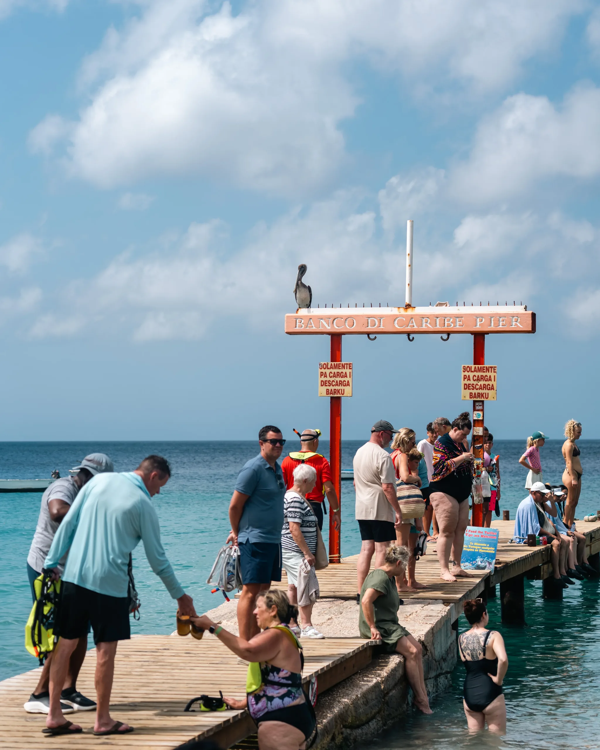 Pelican perched on the pier sign at the Playa Piskadó turtle beach