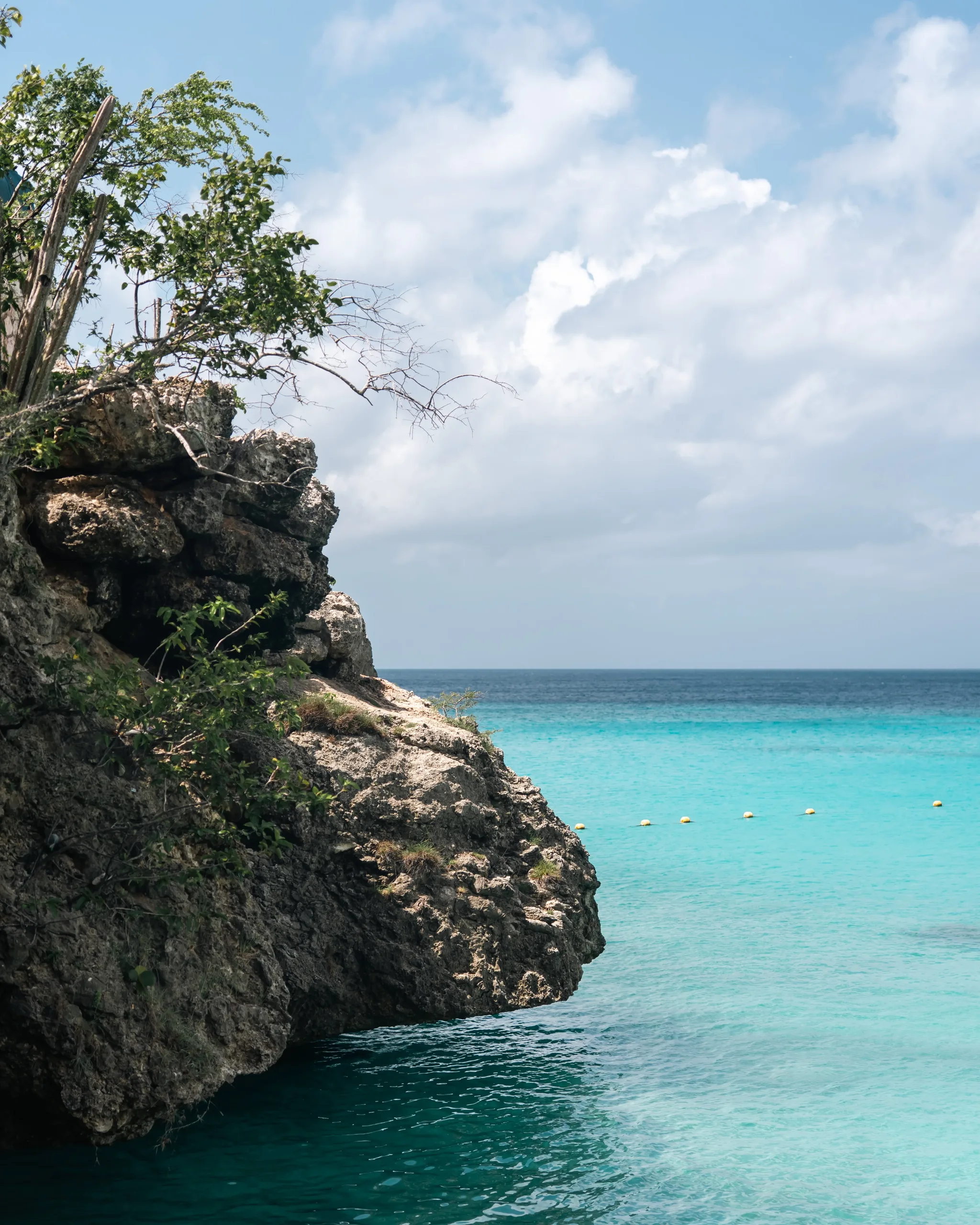 Cactus-topped limestone cliff over a two-tone turquoise bay