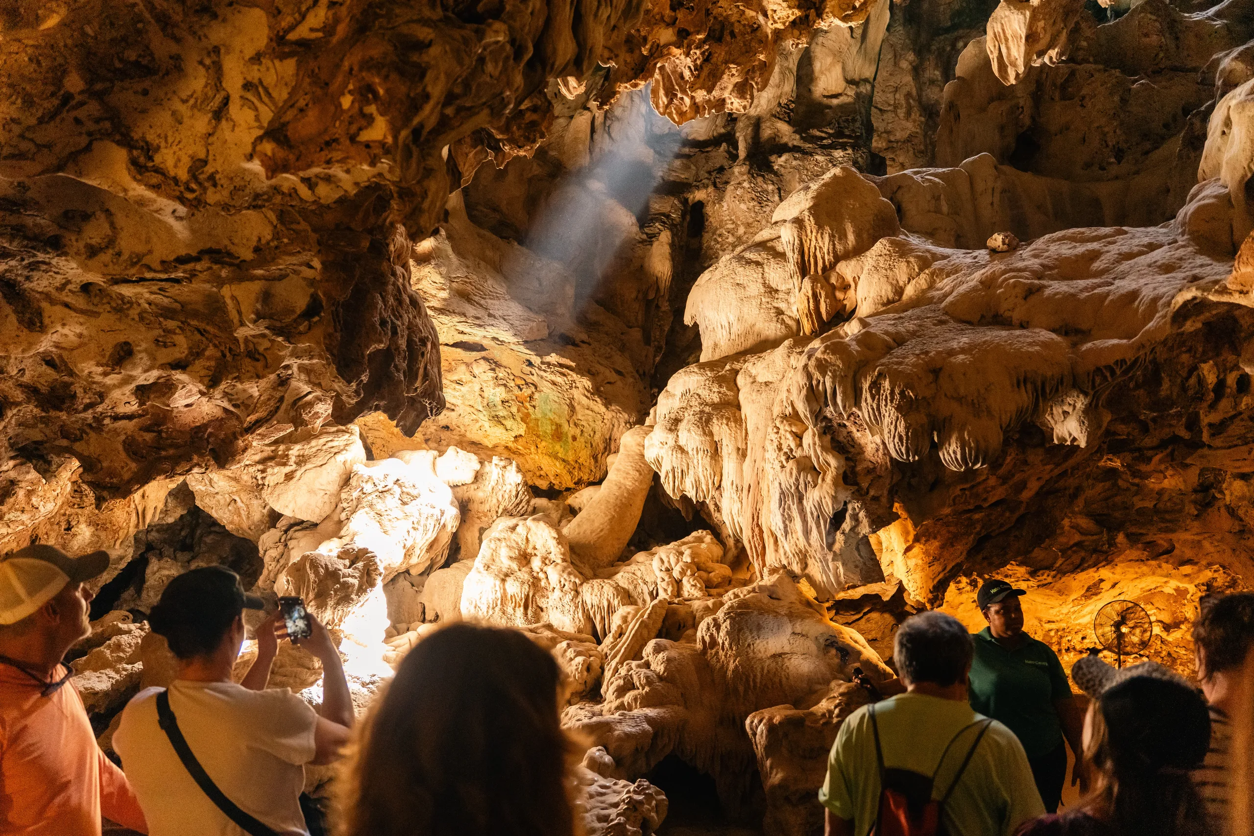 Green Escape: Full day Hato Caves, Turtles, Kenepa Beach & Flamingos
