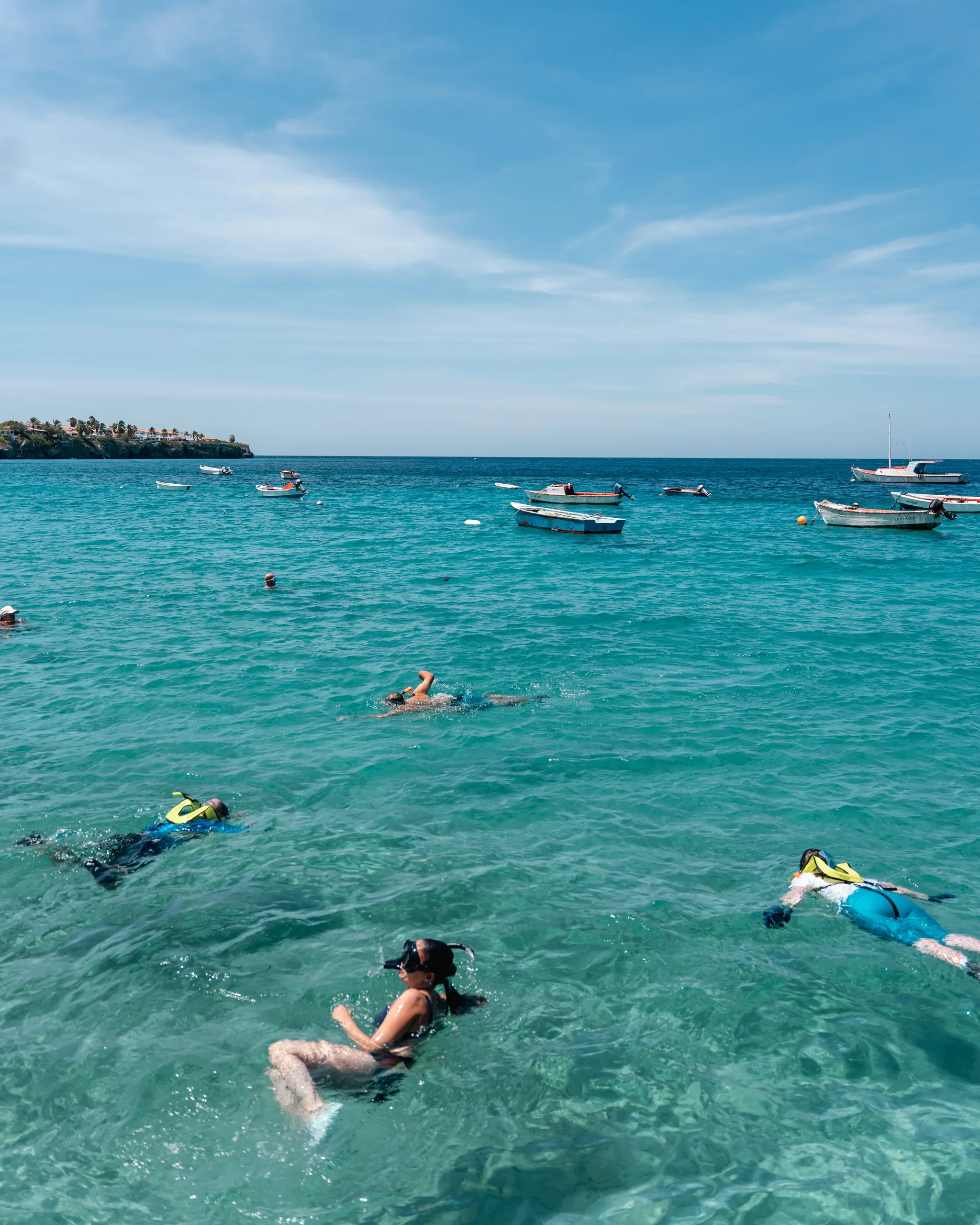 Can You Swim with Turtles in Curaçao Without a Tour?