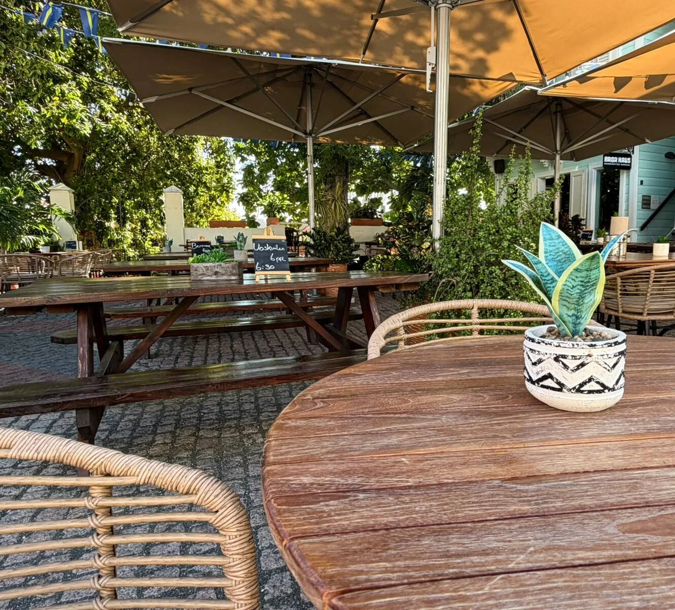 Round teak table with a potted plant on the BRGR Haus terrace, with picnic tables and umbrellas behind.