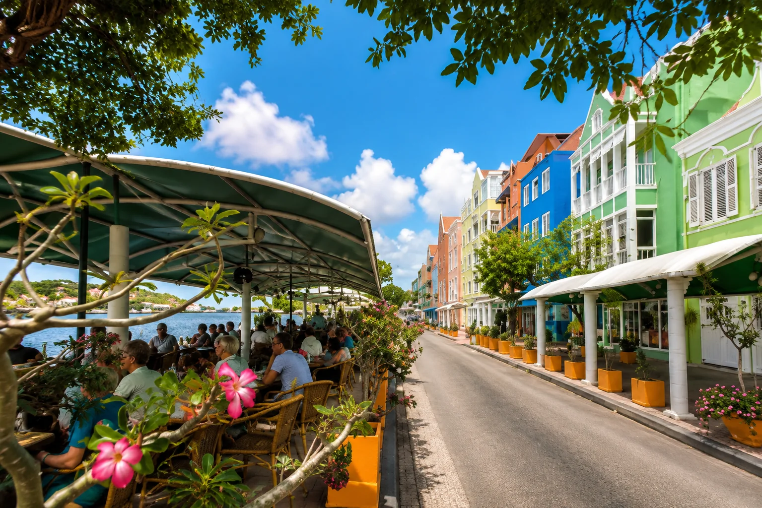 Iguana Café