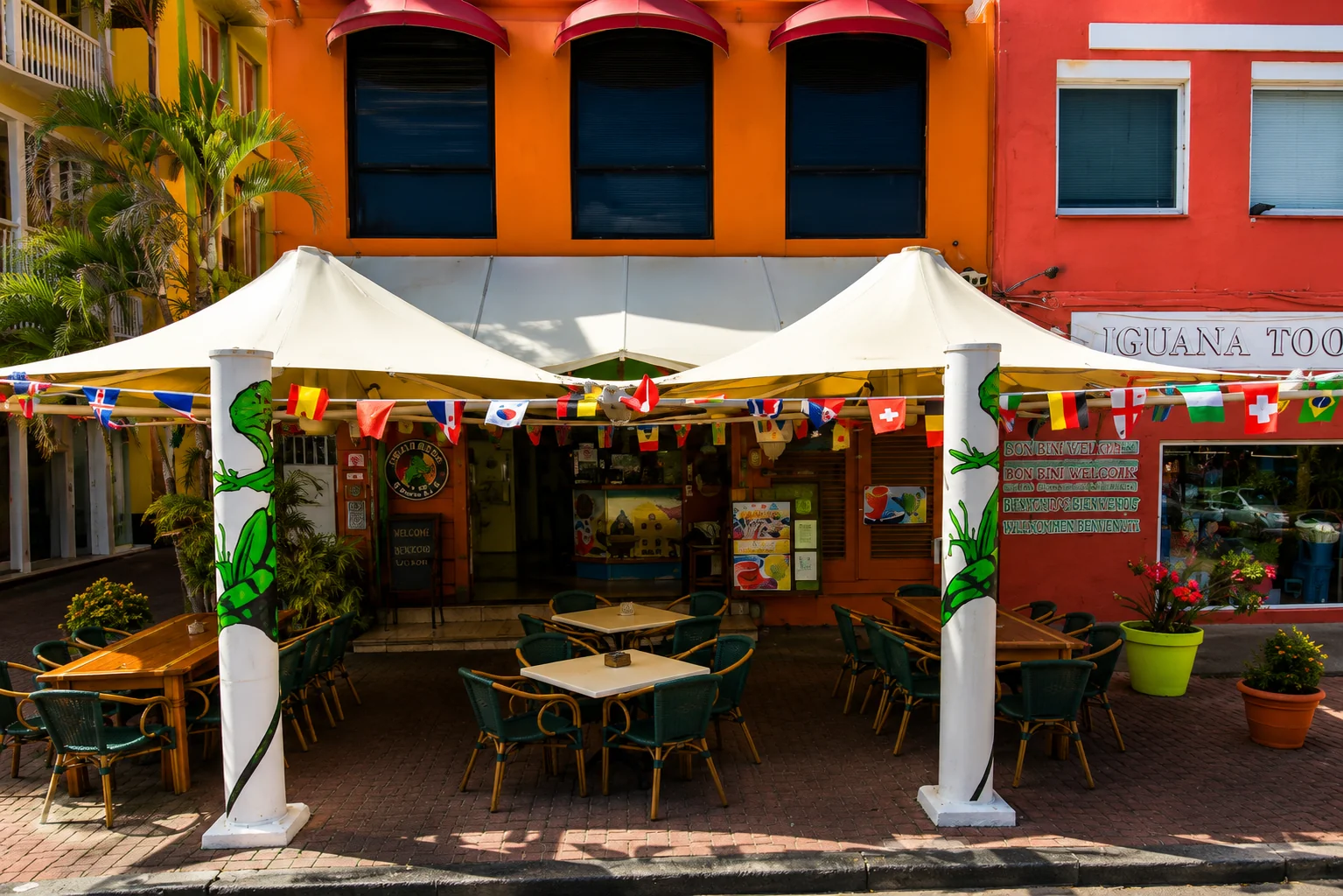 Iguana Café